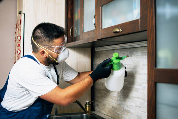 Best Pest Prevention Services  in Akron, IA
