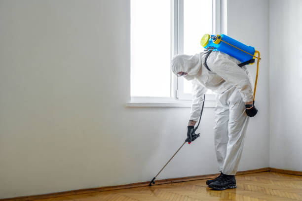 Best Pest Removal Services  in Akron, IA