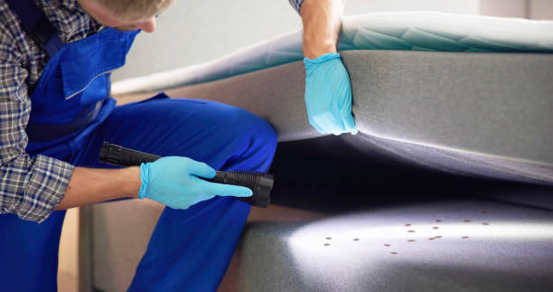 Best Affordable Pest Control Services  in Akron, IA