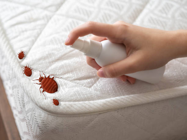 Best Cockroach Control Services  in Akron, IA