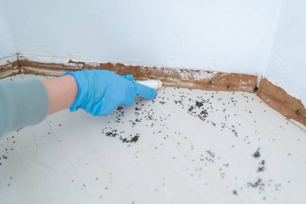 Best Pest Removal Services  in Akron, IA