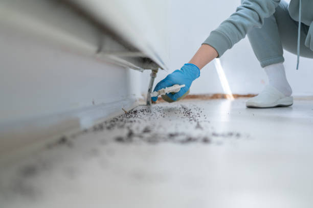Best Pest Prevention Services  in Akron, IA